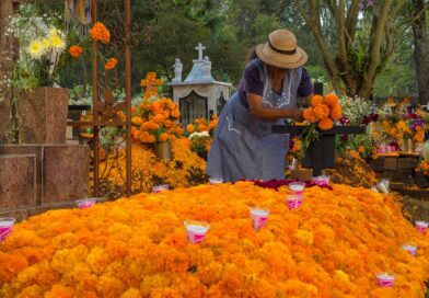 Incrementa precio de flores para el Día de Muertos en Guamúchil