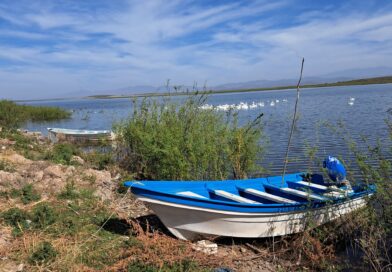 Pescadores de la Eustaquio Buelna postergan levantamiento de veda; enfrentan retos comerciales y económicos