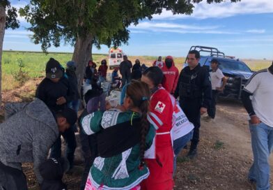 Enjambre de abejas ataca a jornaleros en Mocorito; hay 17 lesionados