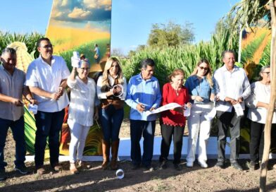 ¡Mocorito sorprende! Inauguran Laberintos de Maíz, nuevo imán turístico del Pueblo Mágico