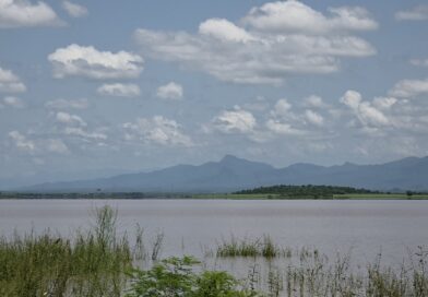 La Eustaquio Buelna llega al 70% y cambia el panorama para el campo del Évora