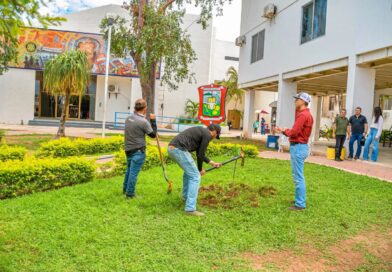 Guamúchil recuperará árboles perdidos y suma mil 200 nuevas plantas en sus espacios públicos