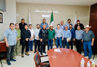 Vigilan venta de huevo irregular en Guamúchil por riesgo sanitario