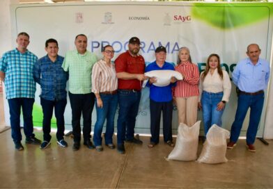 Salvador Alvarado respalda a productores de temporal con entrega de más de 60 toneladas de semillas